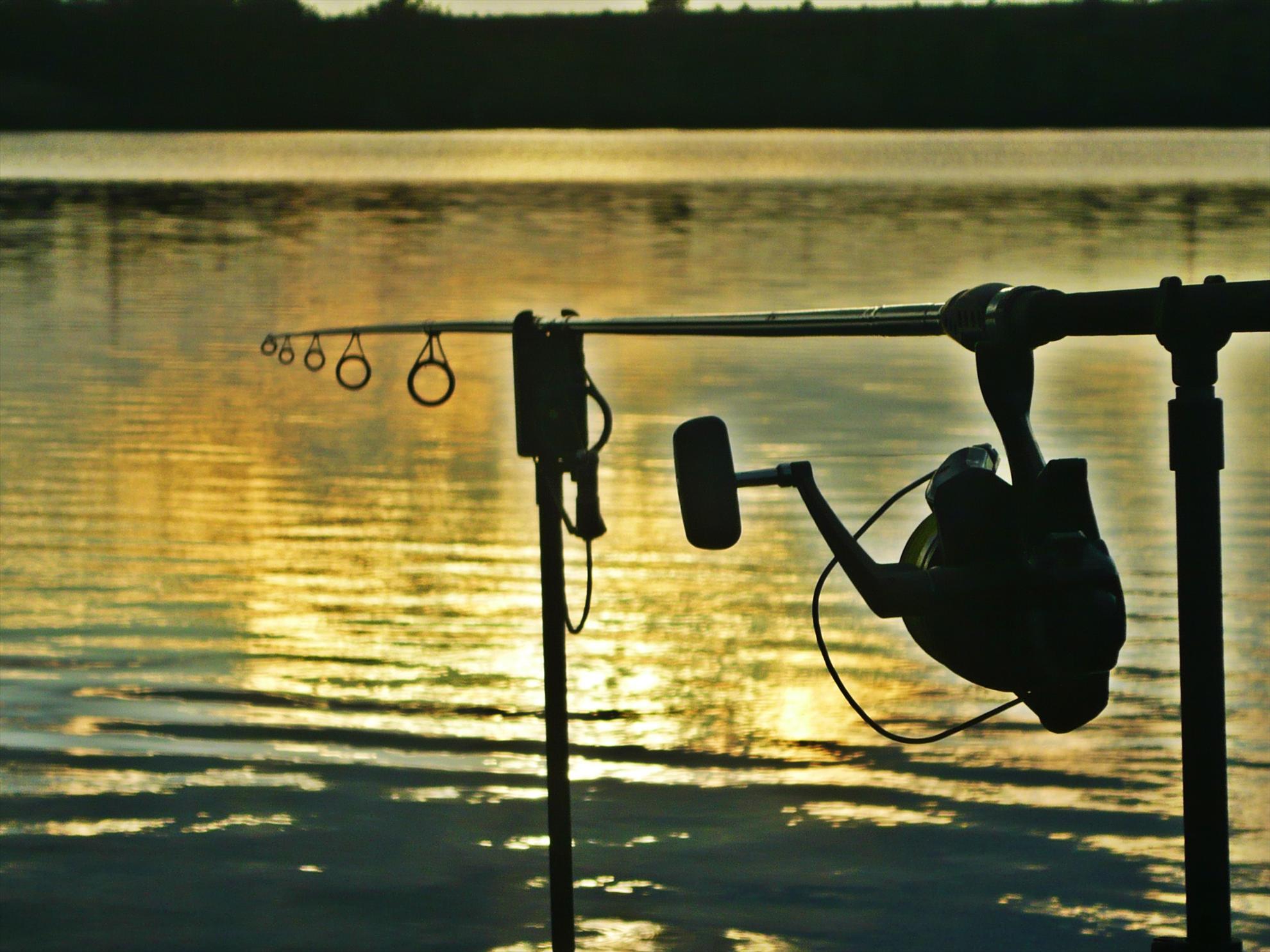 Best-2010 - p1020599.JPG